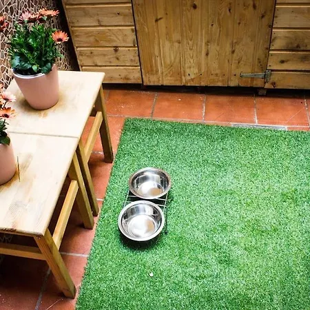 Apartamento Venus Apartment *